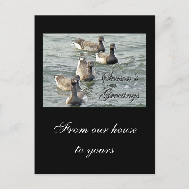 Atlantic Brant Geese Season's Greetings Series Helg Vykort (Framsida)