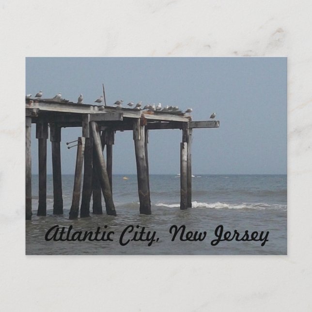 Atlantic City Beach med fågelvykort Vykort (Framsida)