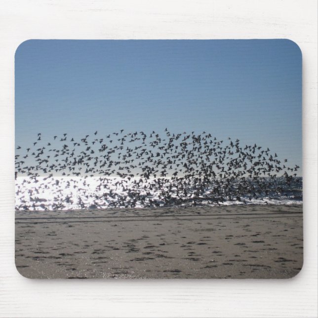 Atlantic City strand Musmatta (Framsidan)