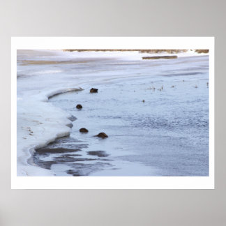 Atlantic Ocean Frozen Poster