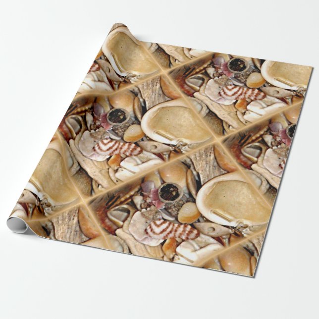 Atlantic Ocean snäckor Presentpapper (Utrullad)