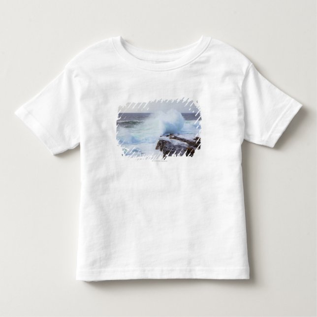 Atlantic Ocean vinkar att krascha in i Maines Tee Shirt (Framsida)