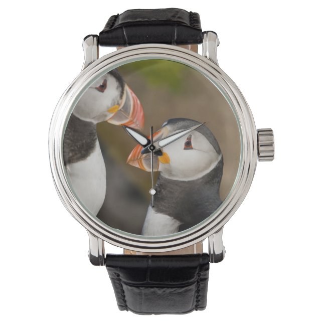 Atlantic Puffin Armbandsur (Framsida)