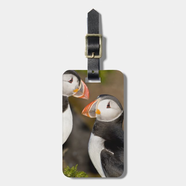 Atlantic Puffin Bagagebricka (Vertikal Framsida)