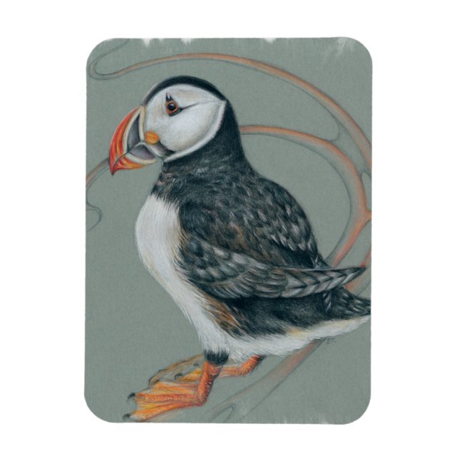 Atlantic Puffin Bird Art Teckning Magnet (Vertikal)