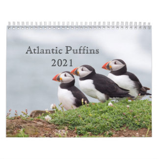 Atlantic Puffin Calendar 2021 Kalender
