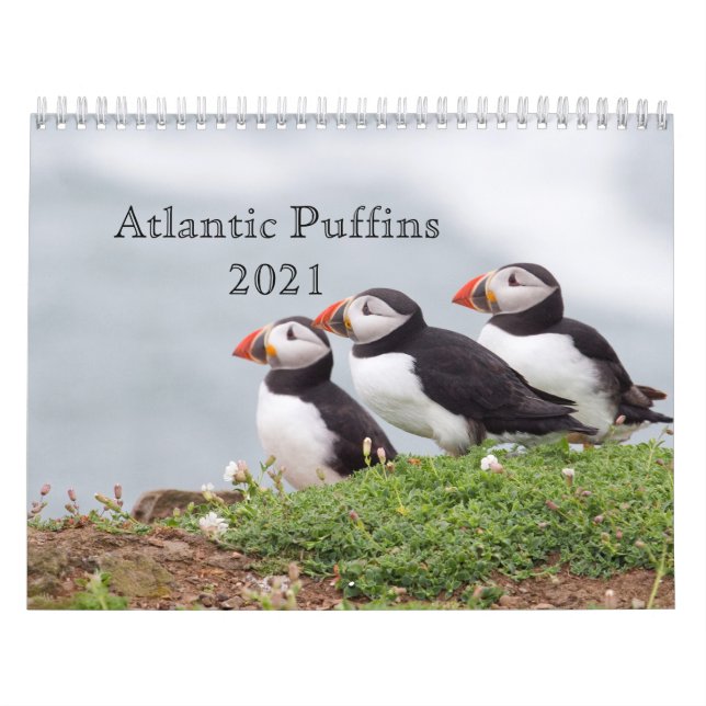 Atlantic Puffin Calendar 2021 Kalender (Omslag)
