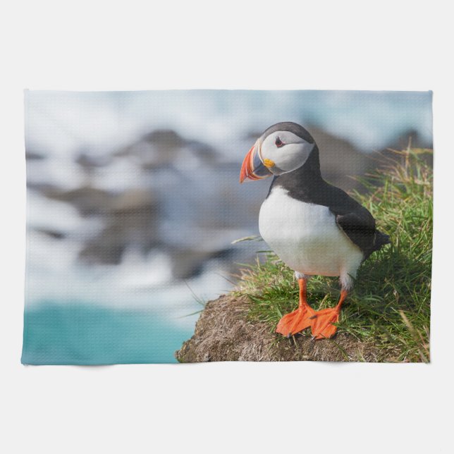 Atlantic Puffin Fratercula Arctica Kökshandduk (Horisontell)