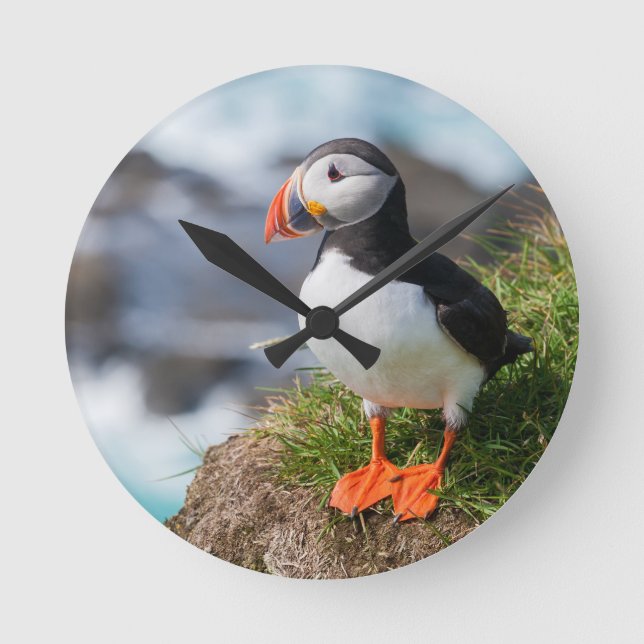 Atlantic Puffin Fratercula Arctica Rund Klocka (Framsida)