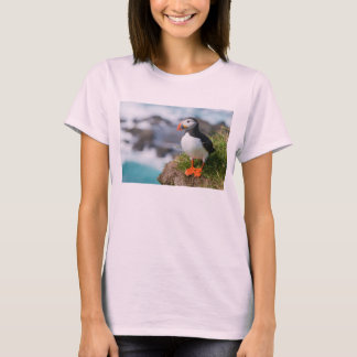 Atlantic Puffin Fratercula Arctica Tee