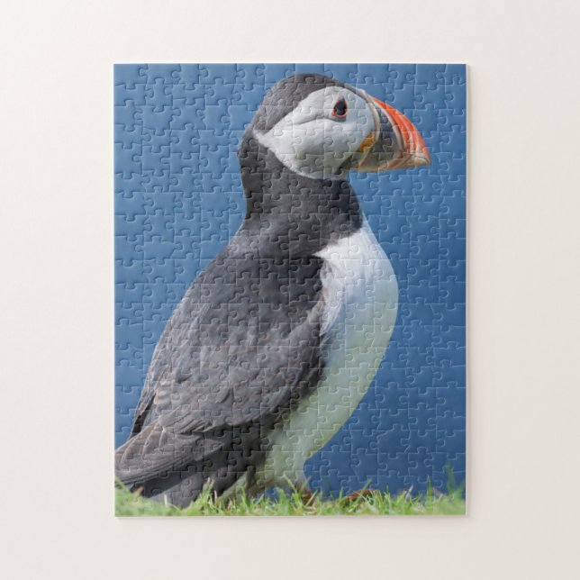 Atlantic Puffin (Fratercula Arctica) vid Cliff Pussel (Vertikal)