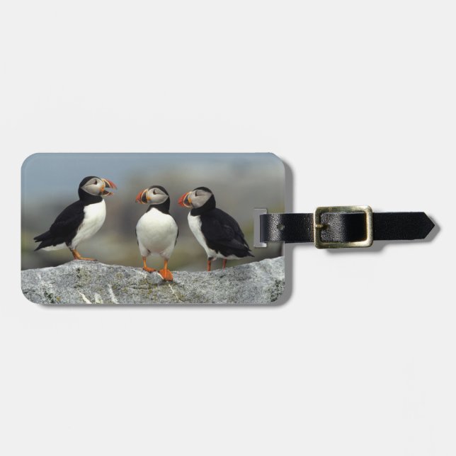 Atlantic Puffin Group Bagagebricka (Horisontell Framsida)