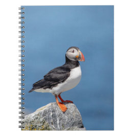 Atlantic Puffin i Machias, Maine Anteckningsbok