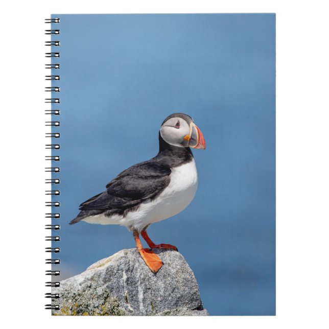 Atlantic Puffin i Machias, Maine Anteckningsbok (Framsidan)