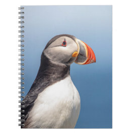 Atlantic Puffin i Machias, Maine Anteckningsbok