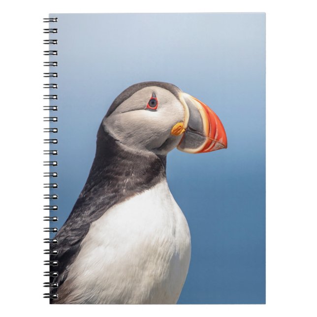 Atlantic Puffin i Machias, Maine Anteckningsbok (Framsidan)