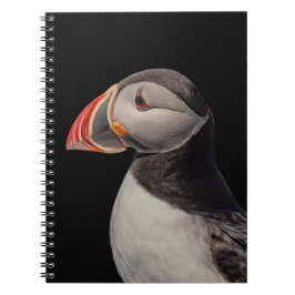 Atlantic Puffin i Machias, Maine Anteckningsbok