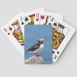 Atlantic Puffin i Machias, Maine Casinokort