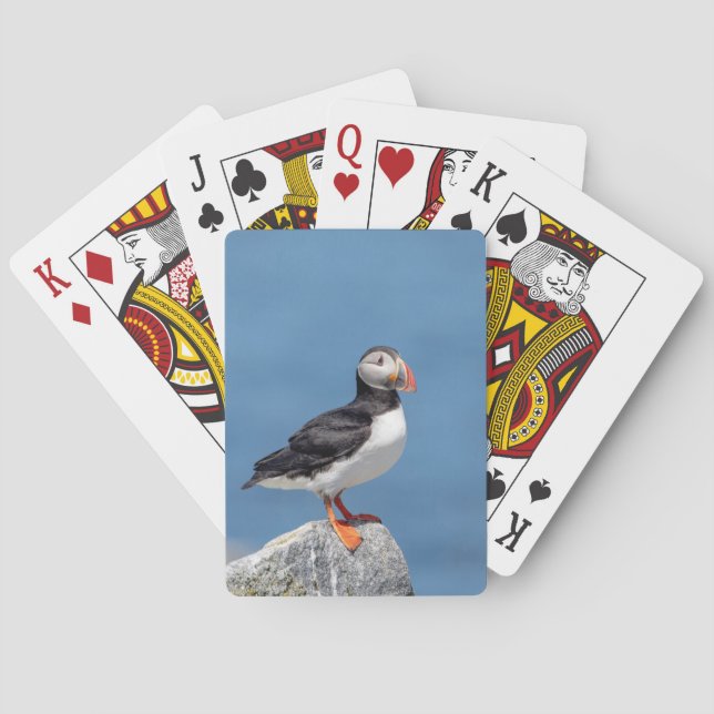 Atlantic Puffin i Machias, Maine Casinokort (Baksidan)