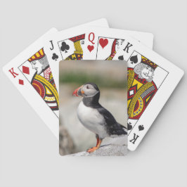 Atlantic Puffin i Machias, Maine Casinokort