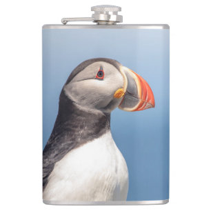 Atlantic Puffin i Machias, Maine Fickplunta