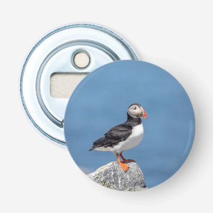 Atlantic Puffin i Machias, Maine Flasköppnare