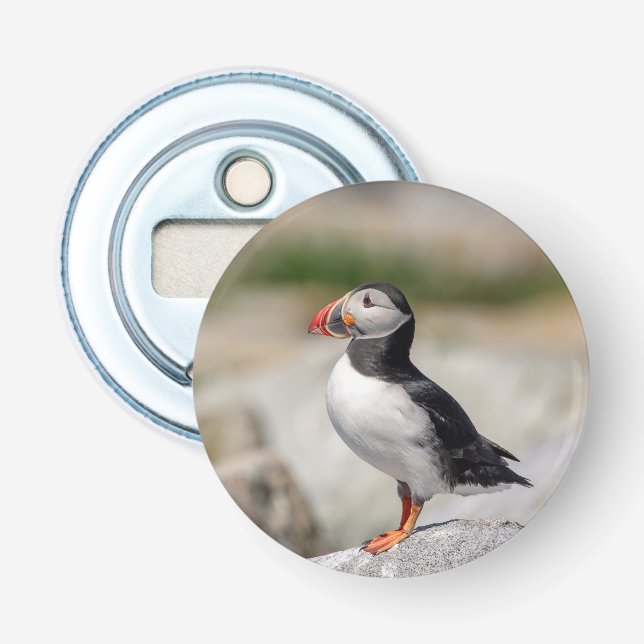 Atlantic Puffin i Machias, Maine Flasköppnare (Framsidan)
