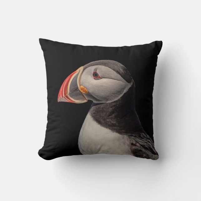 Atlantic Puffin i Machias, Maine Kudde (Framsida)