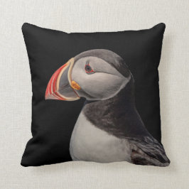 Atlantic Puffin i Machias, Maine Kudde