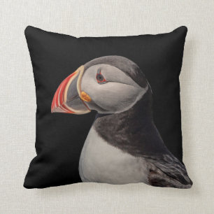 Atlantic Puffin i Machias, Maine Kudde