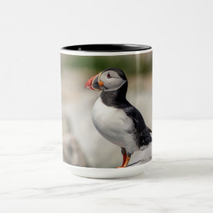 Atlantic Puffin i Machias, Maine Mugg