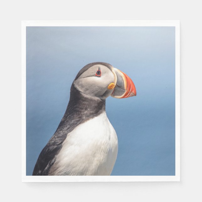 Atlantic Puffin i Machias, Maine Pappersservett (Framsidan)