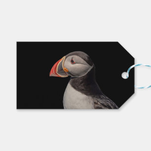 Atlantic Puffin i Machias, Maine Presentetikett