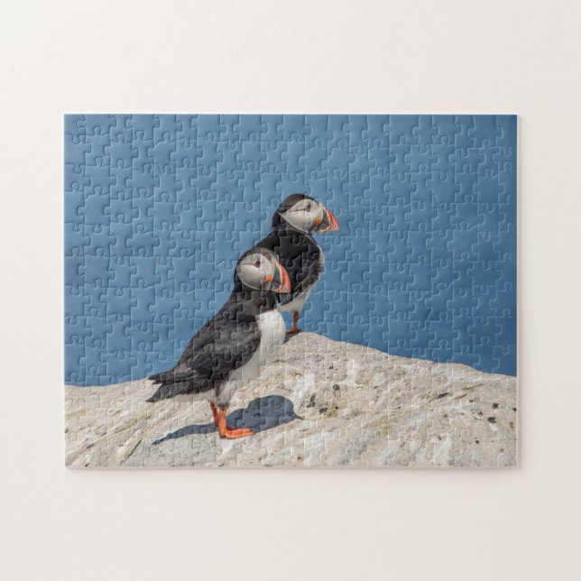 Atlantic Puffin i Machias, Maine Pussel (Horisontell)