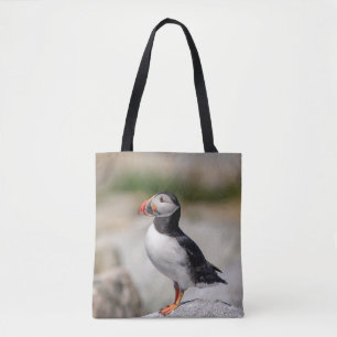 Atlantic Puffin i Machias, Maine Tygkasse