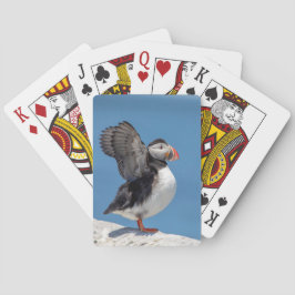 Atlantic Puffin i Machias, ME Casinokort