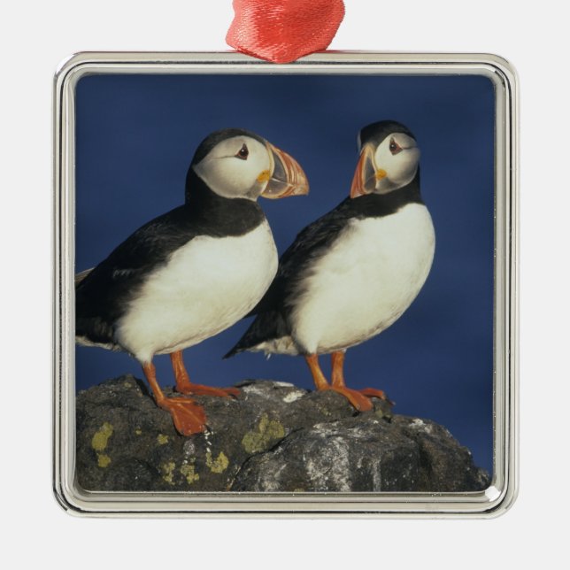 Atlantic Puffin Julgransprydnad Metall (Framsidan)