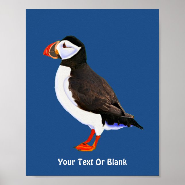 Atlantic Puffin Poster (Framsidan)