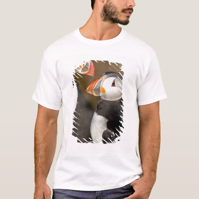 Atlantic Puffin Tee (Framsida)