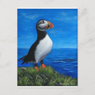 Atlantic Puffin Vykort