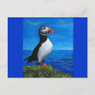 Atlantic Puffin Vykort