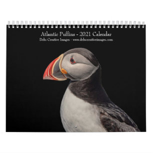 Atlantic Puffins 2021 Kalender