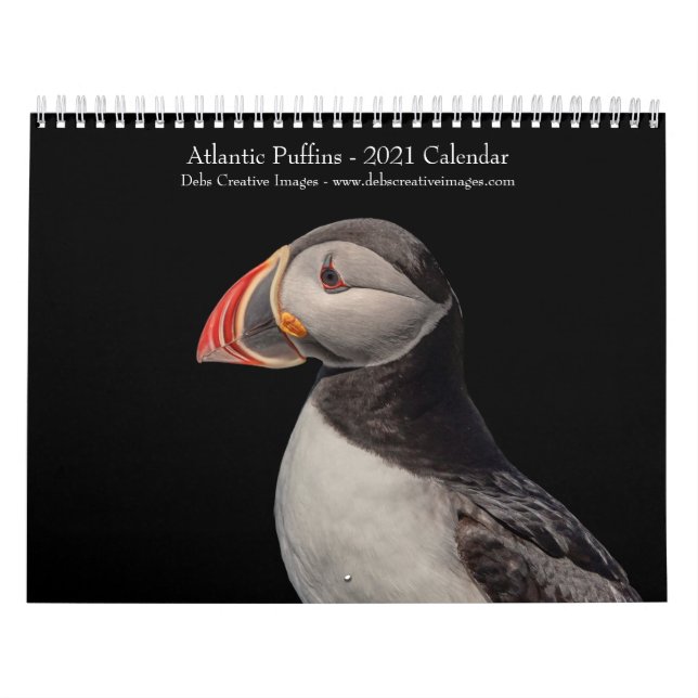 Atlantic Puffins 2021 Kalender (Omslag)