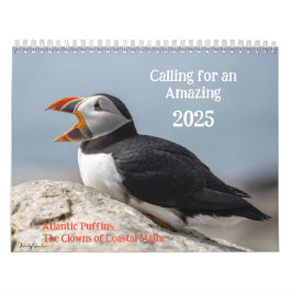 Atlantic Puffins 2025 Calendar Kalender