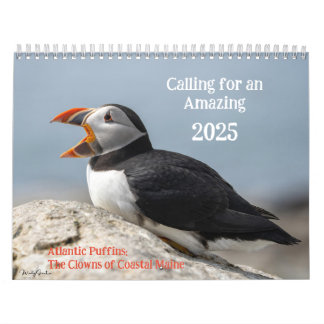 Atlantic Puffins 2025 Calendar Kalender
