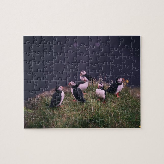 Atlantic Puffins Jigszle Puzzle Pussel (Horisontell)
