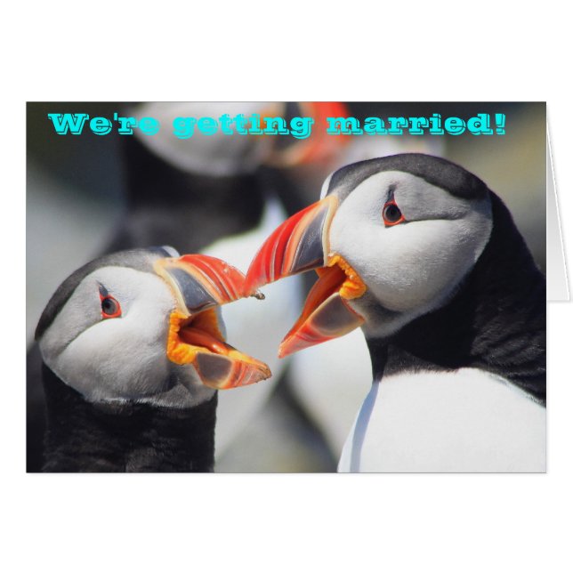 Atlantic Puffins Vi är Gifta sig Hälsningskort (Framsidan Horizontal)