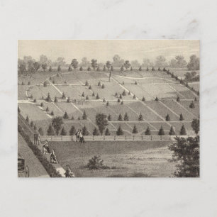 Atlantic View Cemetery, Squan Village, NJ Vykort