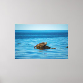 Atlantisk hamnförsegling canvastryck