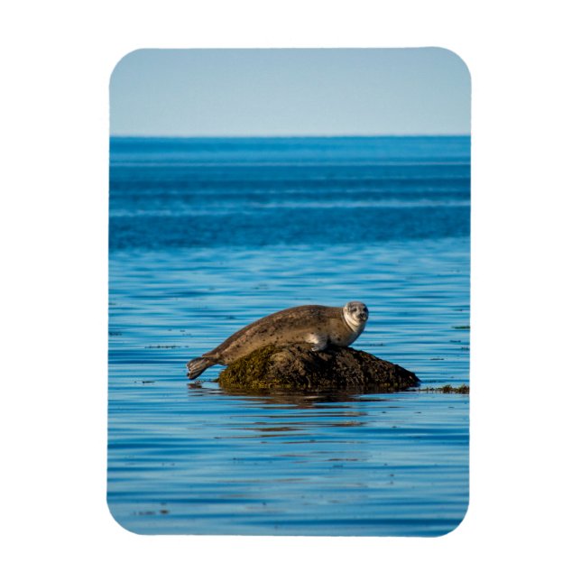 Atlantisk hamnförsegling magnet (Vertikal)